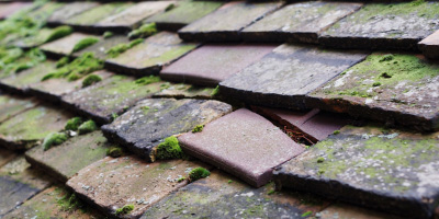 Llanallgo roof repair costs